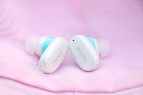 双频宽频降噪新标杆 派美特Pamu Z1，你真的不心动吗？